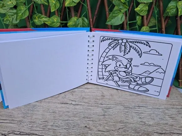 Livro de Colorir  Sonic - 50 desenhos-Capa Dura - foto 3